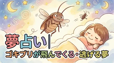 夢占い｜ゴキブリが飛んでくる・逃げる夢の意味